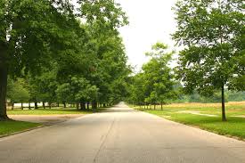 Mount Albert East Gwillimbury