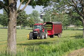 Rural East Gwillimbury