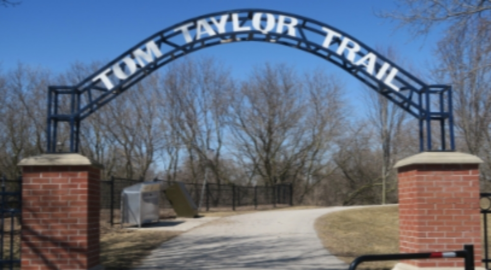 Bristol London Newmarket