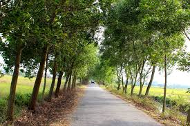 Rural Whitchurch-Stouffville